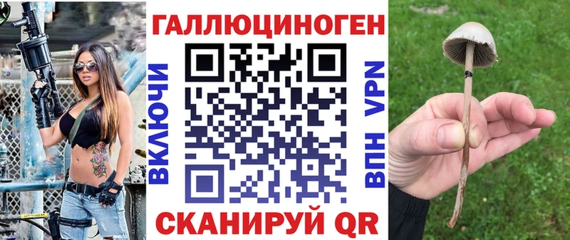 где купить наркоту  Бирюсинск  Псилоцибиновые грибы мицелий 